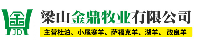 梁山金鼎牧业有限公司