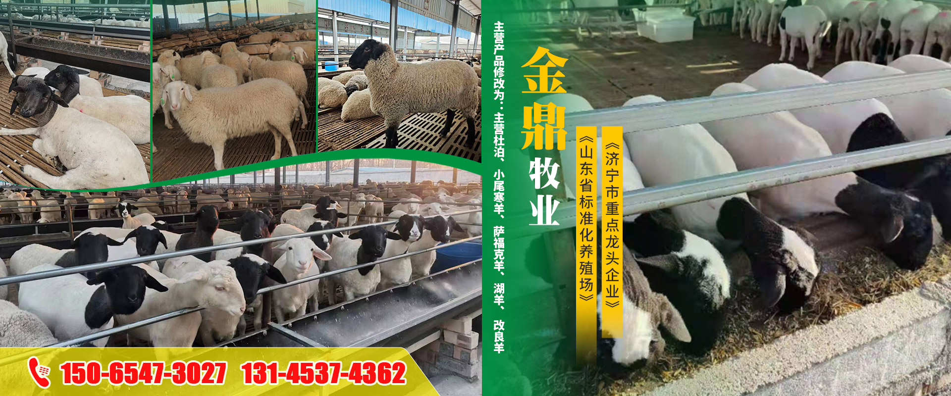 梁山金鼎牧业有限公司