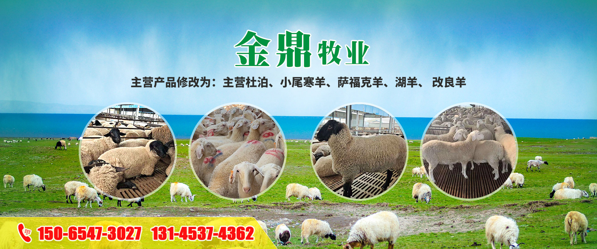 梁山金鼎牧业有限公司