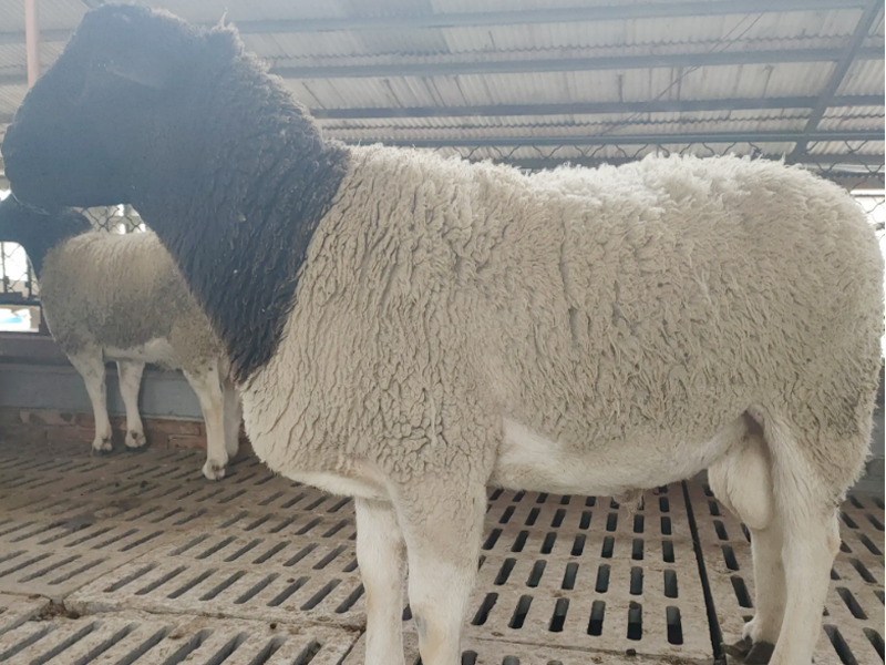 3897ed382870de4c4f05e03052b6c75