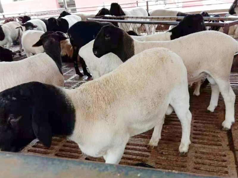 731c1aa79f9d4e022b724429eccdbfe