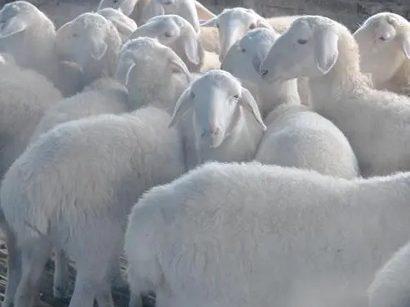 01bec9417a27b82531ebc9c36335d88