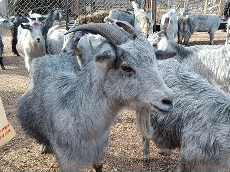 2b1922e6656aae9b11873f416e42515