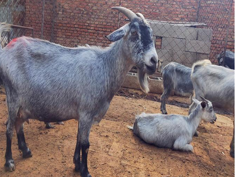 3f2ae9fa0e32248da3274ae4975c283