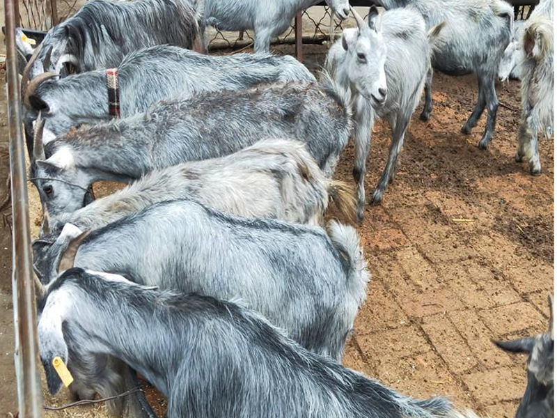 36cabb33a479465996539026e675578