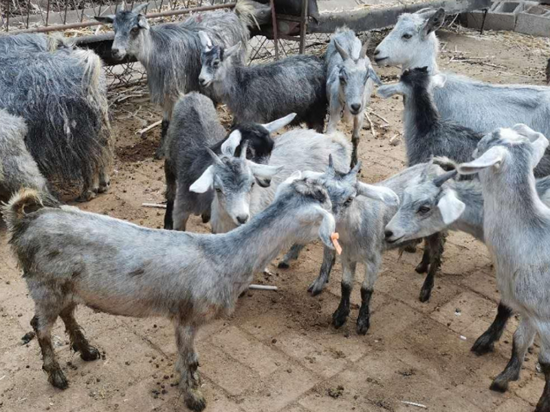 48fd7220adcbd853032a43ec4d935bd