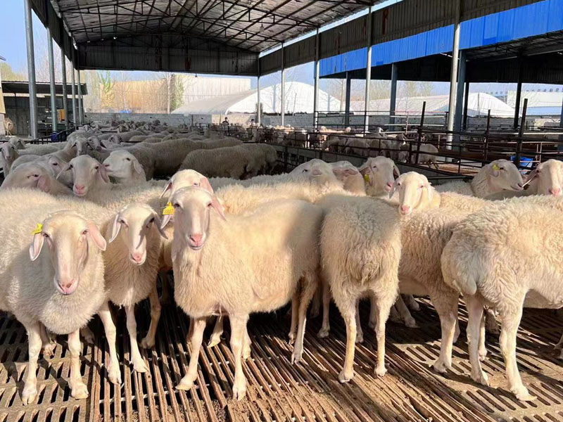 微信图片_20230404152651