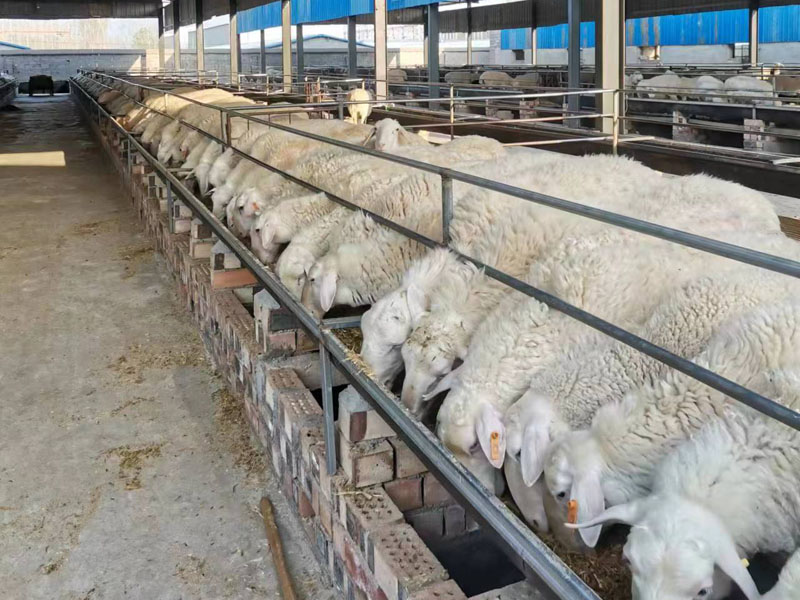 微信图片_20230404152701