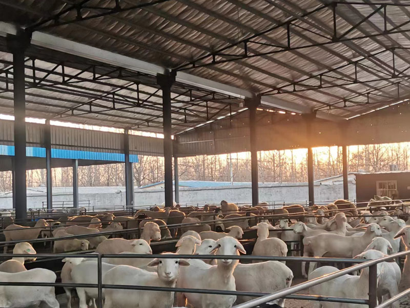 微信图片_20230404152711