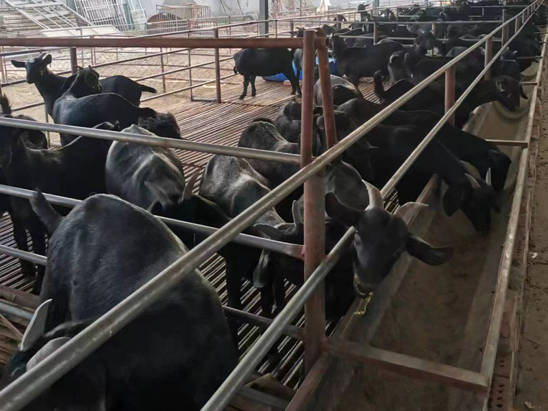 微信图片_20230404153041