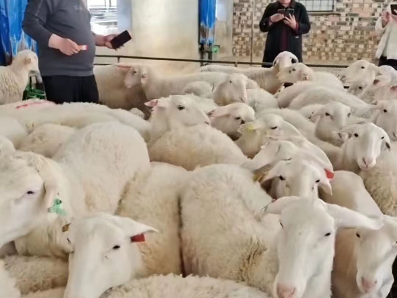 30f79c26d3e04b931a53dc6832d75c3