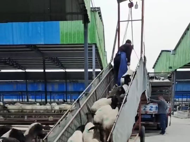 6647d4c7805bb3d854d11e734a65368