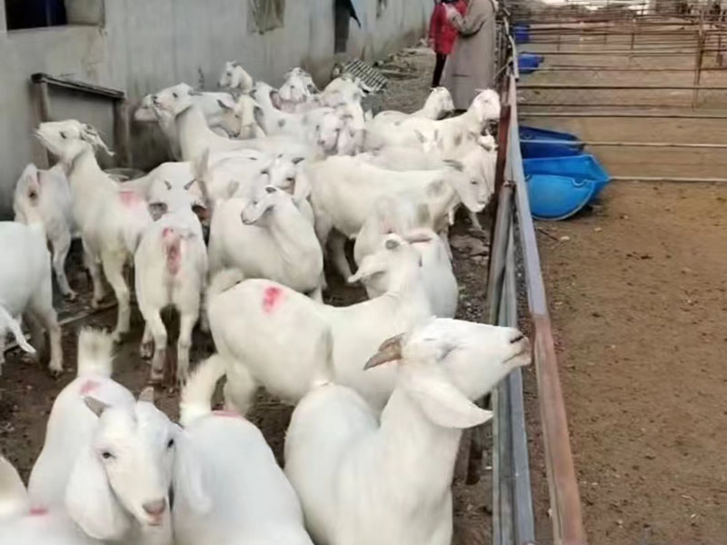 12212f330fe01d38b480269d64ffb70