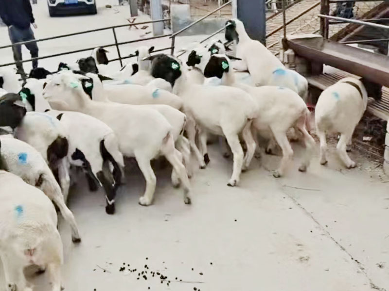 ac14143b60d9925696f06b7c3b7bb0c