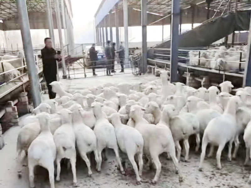 bff95bc05ca6470eca7b0cb159b7308