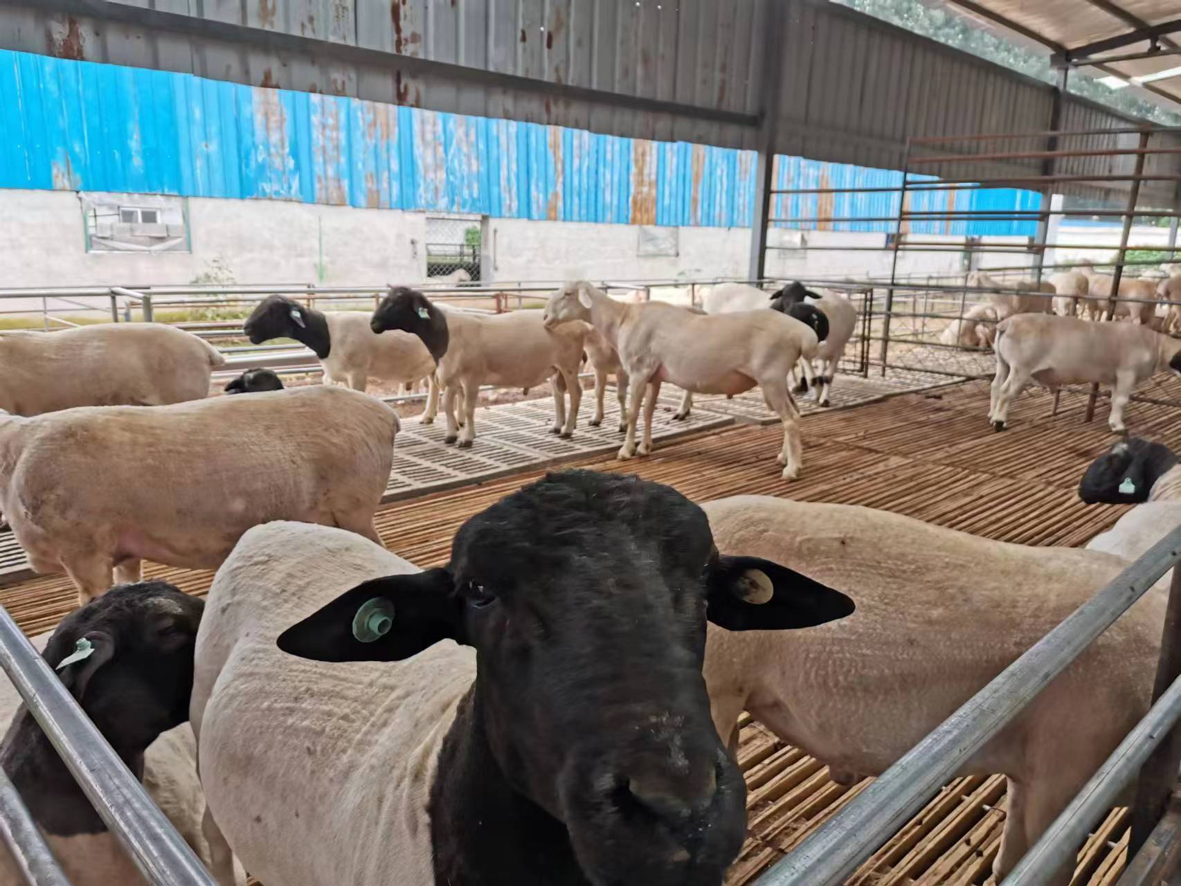 b85dbfa294d89b4c99f1947a65822b0