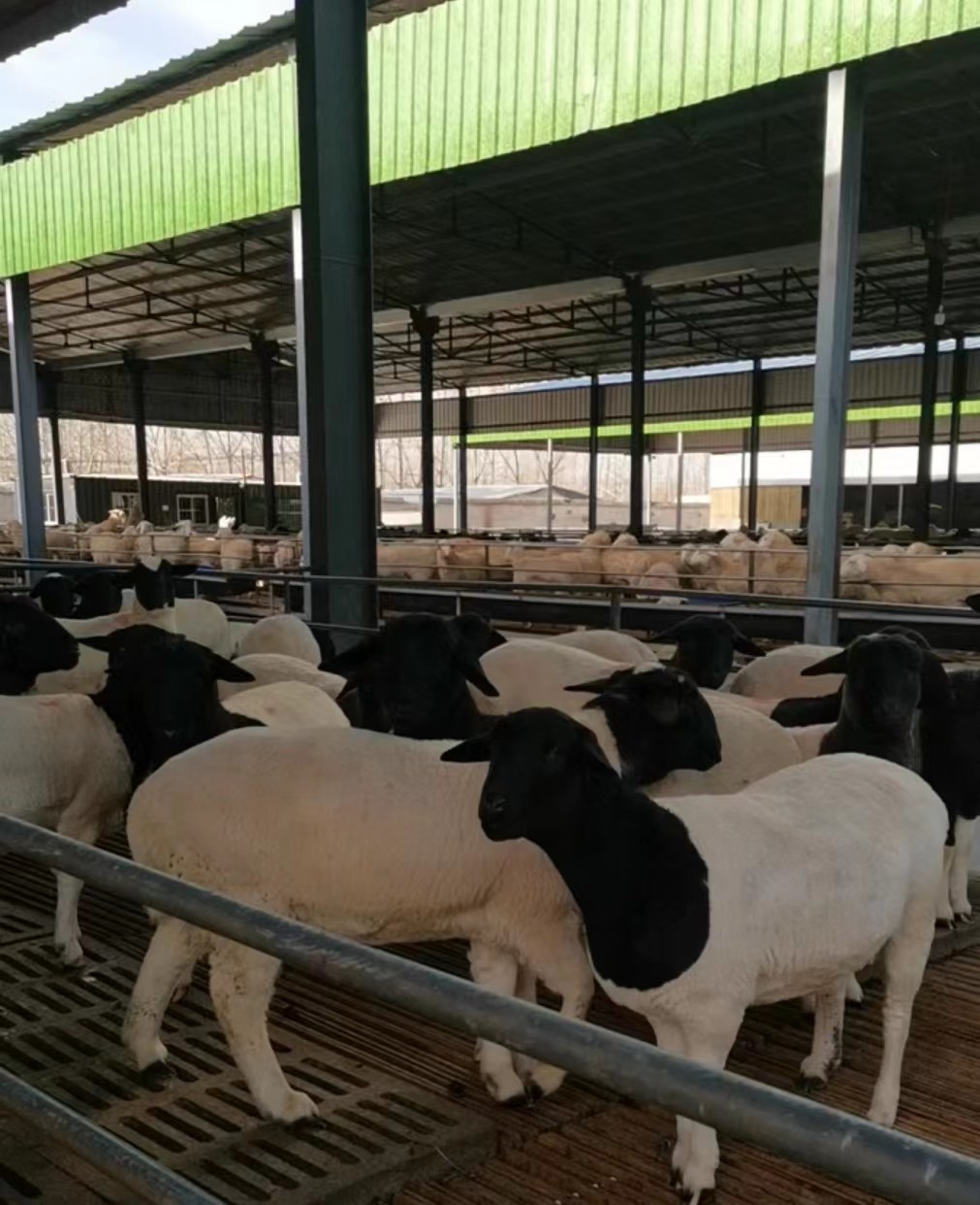 41cbb3f73839d19aced7eac86e749bf