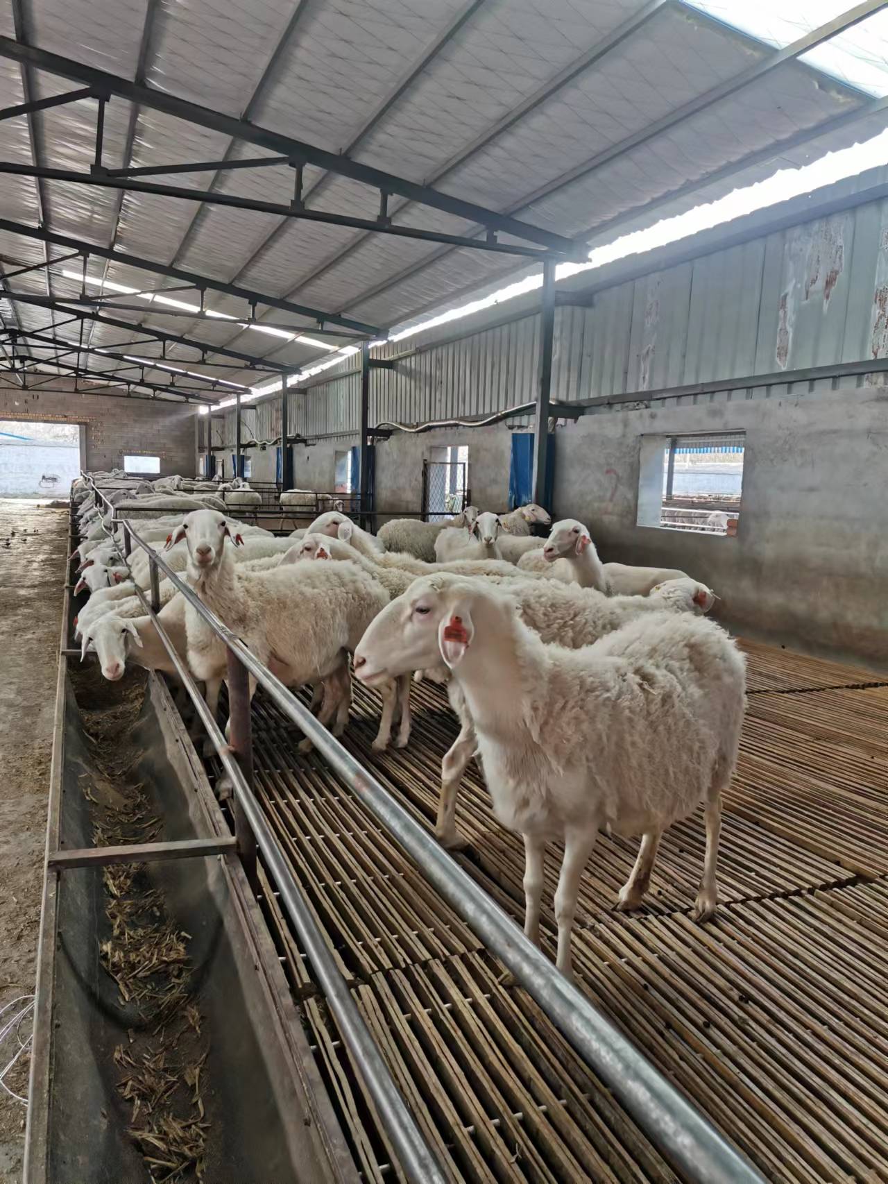 df7778067058a77e23fef5090cdab90