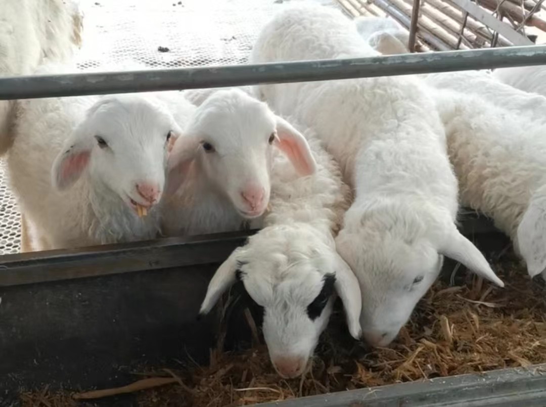 69d679df41529bd505af96f4b49d334