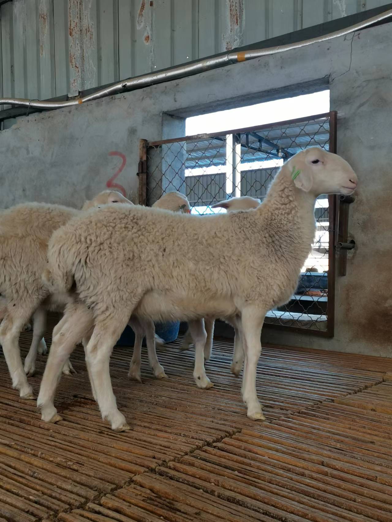 6c1854000ac2e45464e8771fee280f6