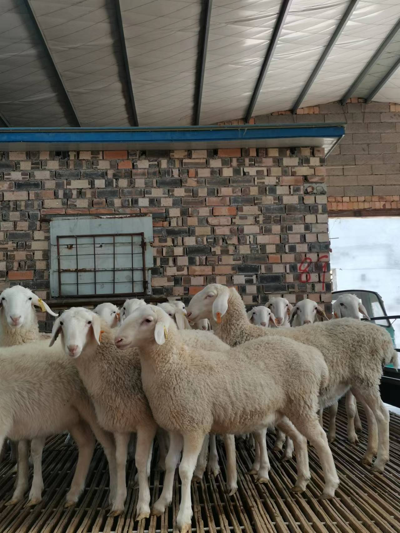 ffe84bee4e1cb2ad4292a864a51719b