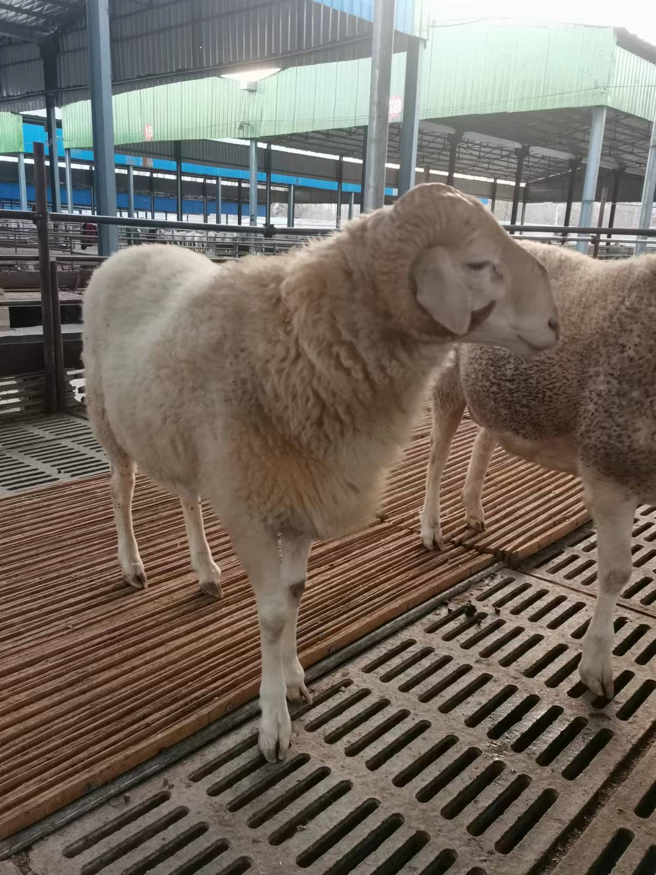 665329bc7dc6ffa07af78299b0dcb8c