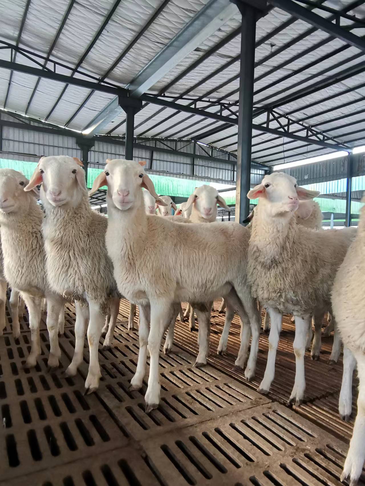 508866fbe21e189a28a911ebdc01fc9