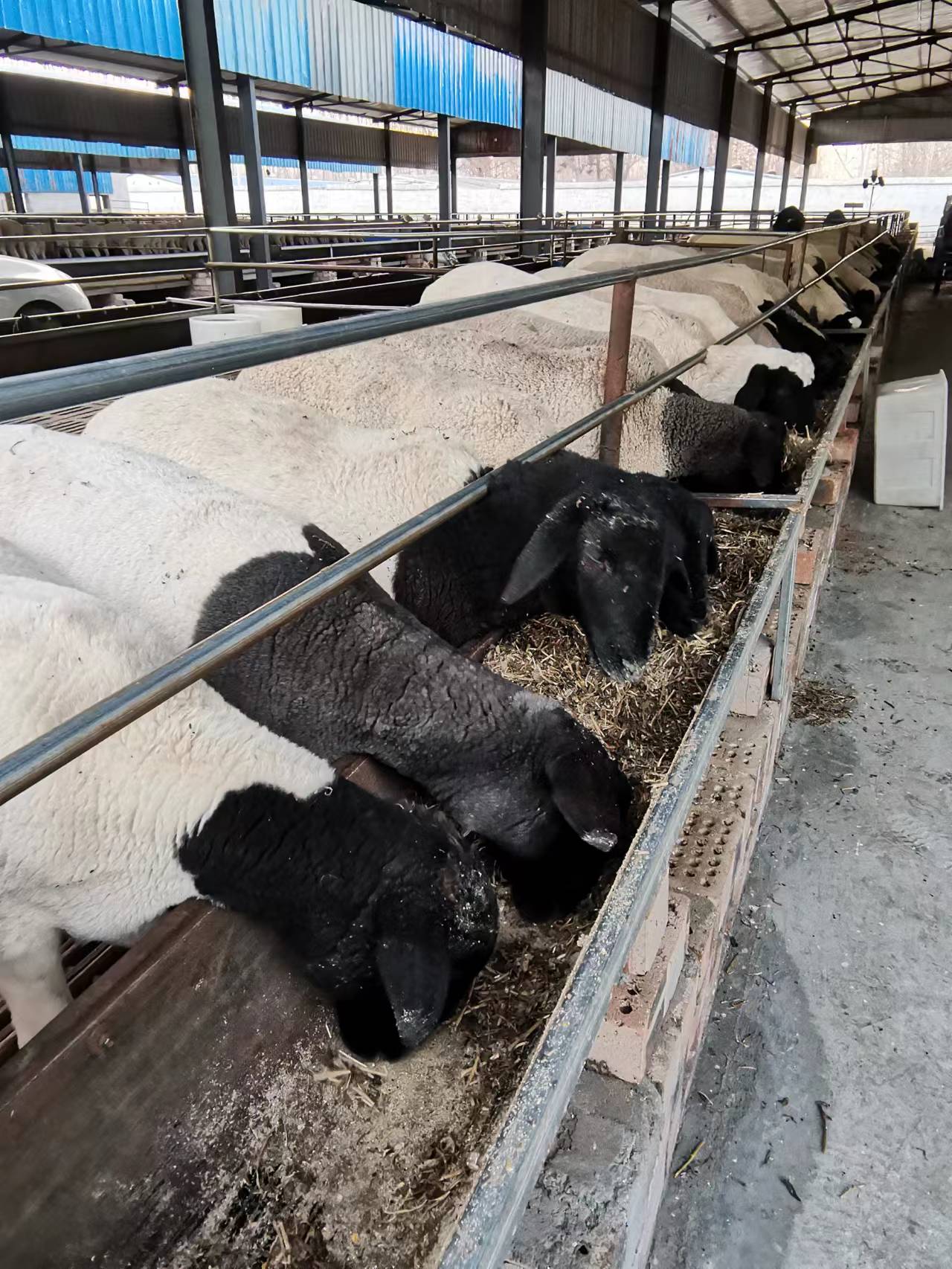 83eefa718807f74ce4dc610881c830a