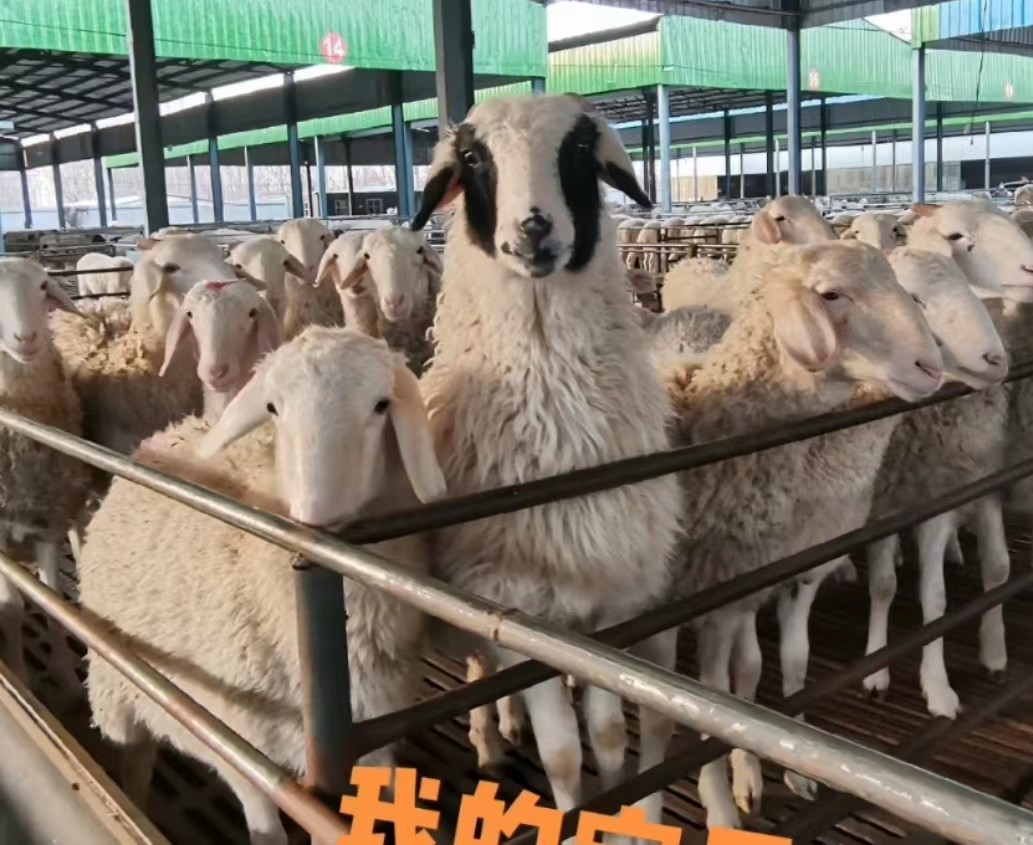 1436d43d8f828fb4daf889db6d75f24