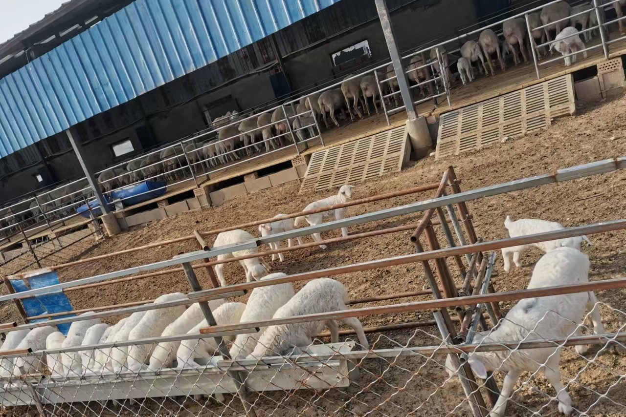 25b71769b5e79b93fa7f1eaa8b88734