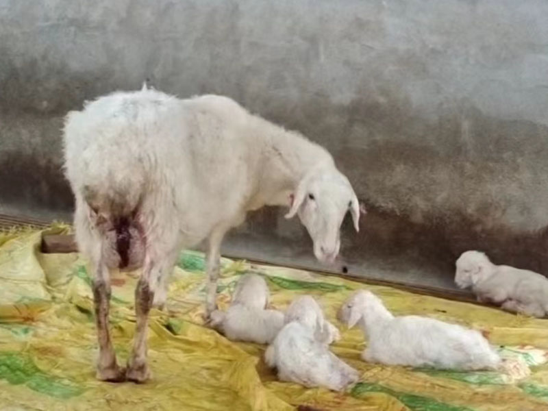 微信图片_20230410114143