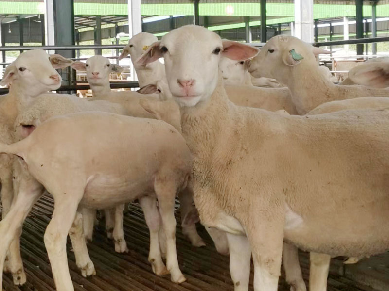 ae827a202d0c13ff2fa2ccfba912581