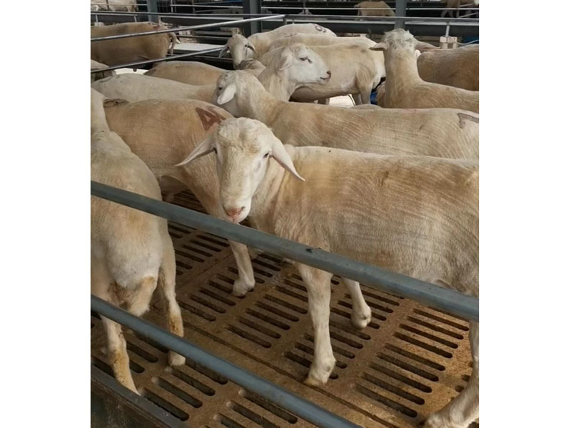 微信图片_20230519155653