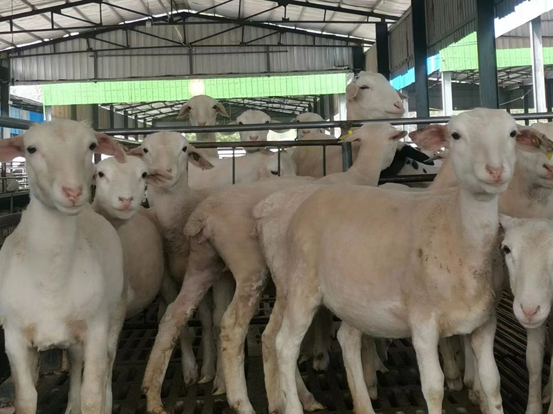 微信图片_20230519155658