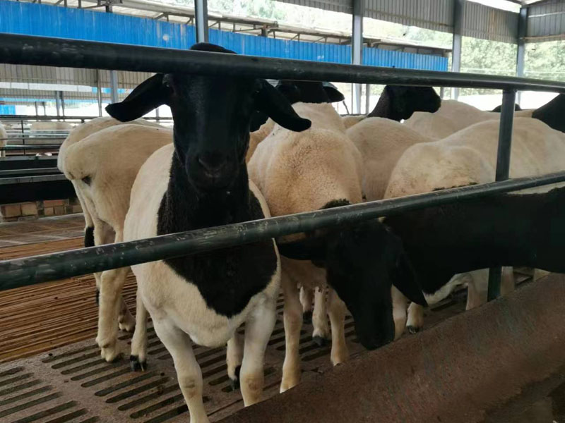 微信图片_20230519155801