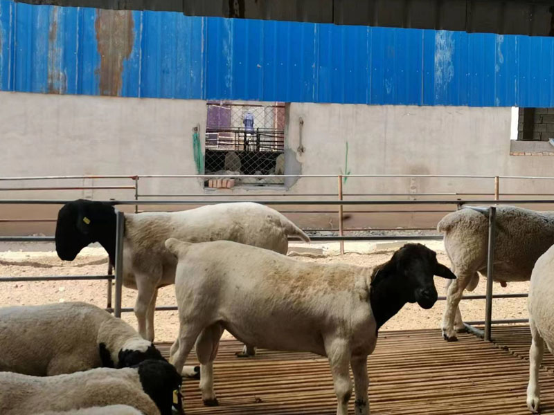 微信图片_20230519155757