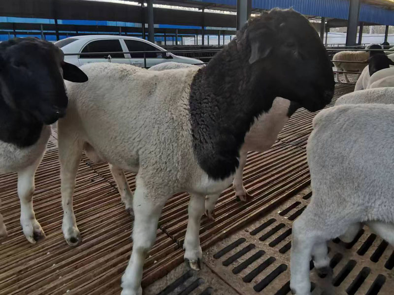 微信图片_20230519155750