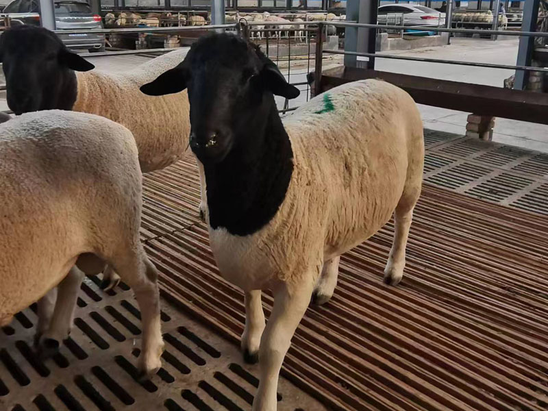 微信图片_20230519155740