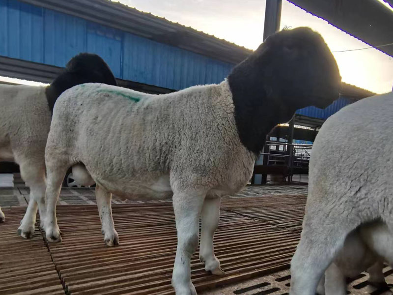 微信图片_20230519155731