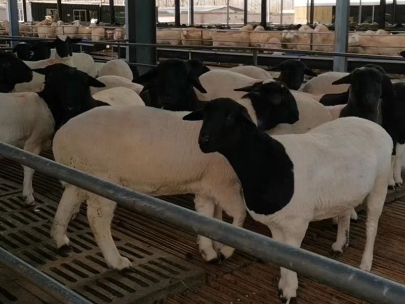 微信图片_20230519155726